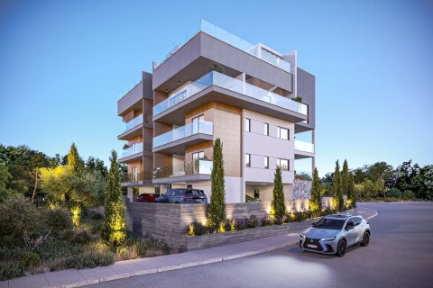 2 bedrooms Apartment in Agios Athanasios, Limassol,  No. 46376 12