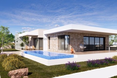 3 dormitorios Bungalow en Tala, Paphos, No. 24291