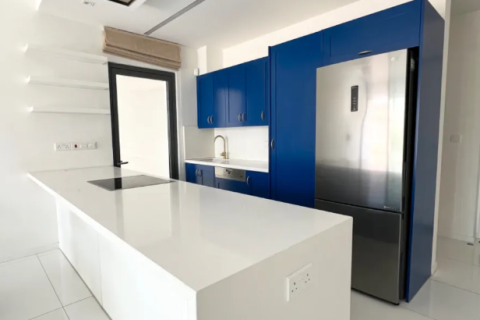 2 bedrooms Apartment in Agios Georgios, Nicosia,  No. 39927 3