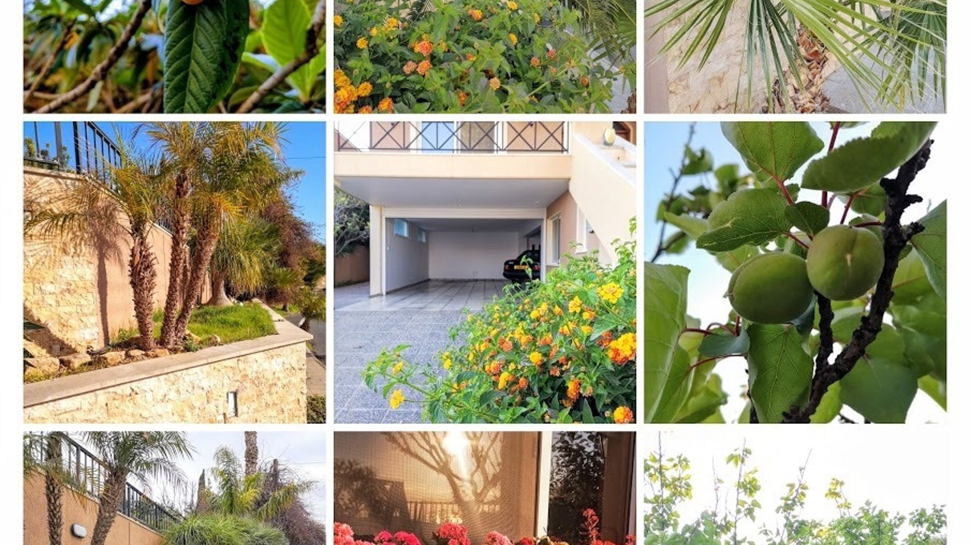 5 bedrooms Villa in Limassol, Cyprus No. 28235