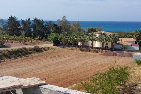 7 rooms Villa in Paphos,  No. 38179 6