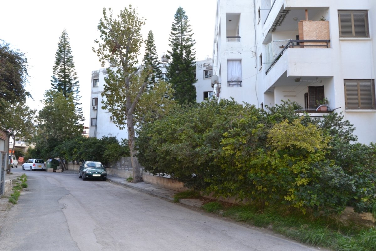 490m2 Commercial property in Paphos, Cyprus No. 38178