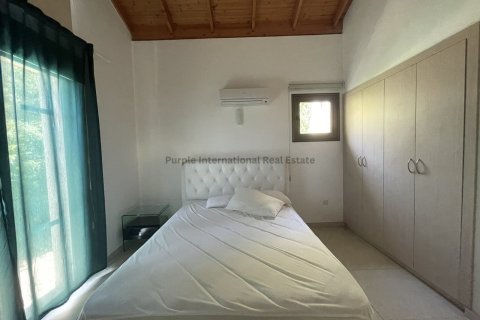 2 bedrooms Bungalow in Ayia Napa, Ammochostos, No. 39451 12
