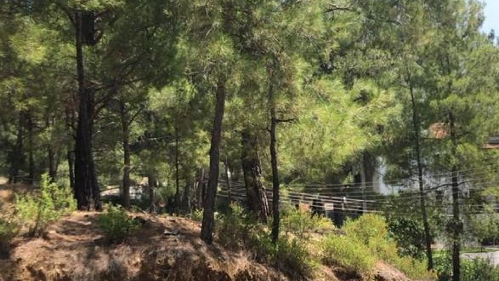 875m2 Terrain à Moniatis, Limassol, Chypre No. 26179