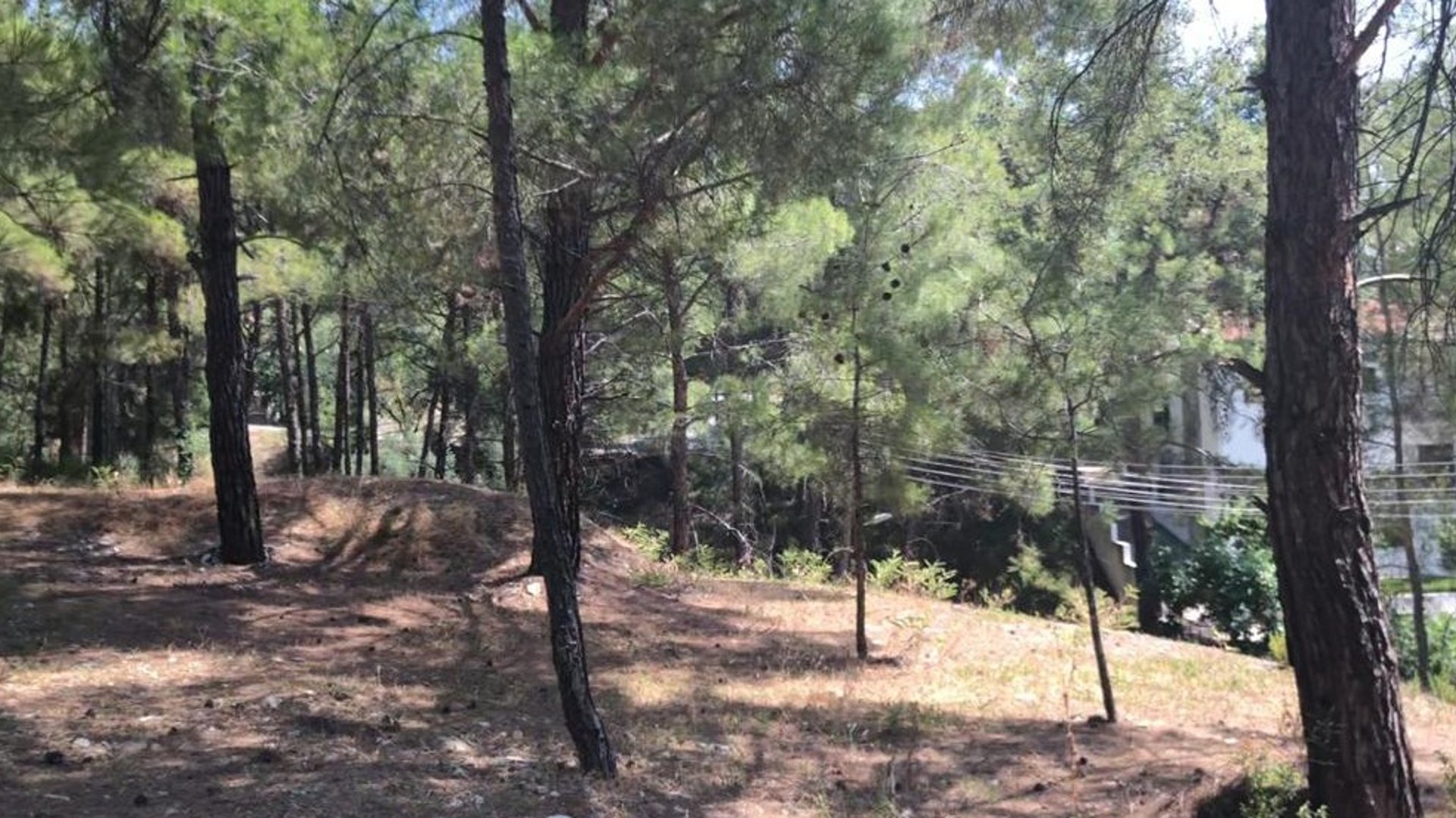 875m2 Terrain à Moniatis, Limassol, Chypre No. 26179