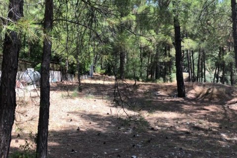 875m2 Terrain à Moniatis, Limassol, Chypre No. 26179