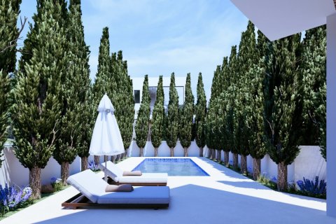 3 chambres Villa à Pegeia, Paphos,  No. 51597 9