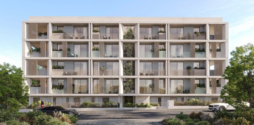 146m2 Office in Paphos,  No. 50583