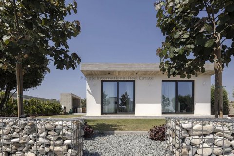 Бунгало с 4 спальнями в Агиа Маринуда, Пафос, Кипр № 37502 12