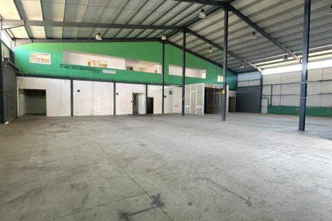 6 rooms Warehouse in Larnaka,  No. 40271 6