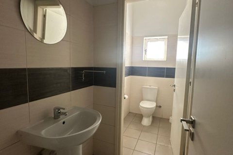 6 rooms Warehouse in Larnaka,  No. 40271 17