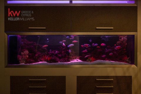 6 chambres Villa à Limassol,  No. 40487 15