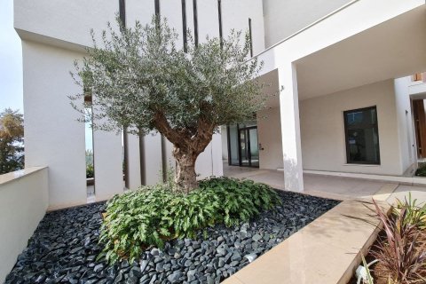 3 chambres Appartement à Limassol,  No. 45832 2