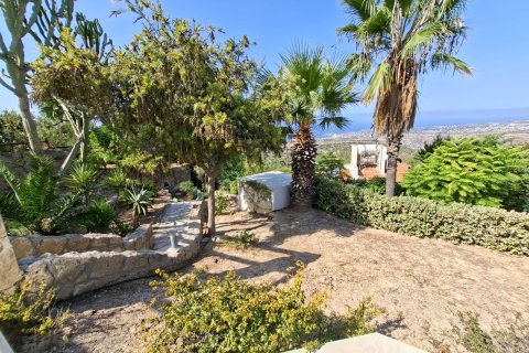 Вилла с 3 спальнями в Тала, Пафос,  № 47746 10