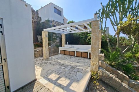 Вилла с 3 спальнями в Тала, Пафос,  № 47746 9