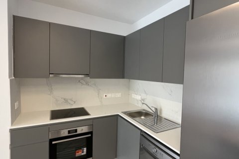 2 bedrooms Apartment in Livadia, Nicosia, No. 39813 13