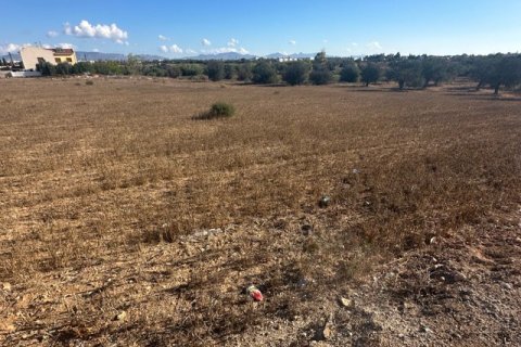 4598m2 Land in Kokkinotrimithia, Nicosia, No. 39902 2