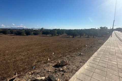 4598m2 Land in Kokkinotrimithia, Nicosia,  No. 39902