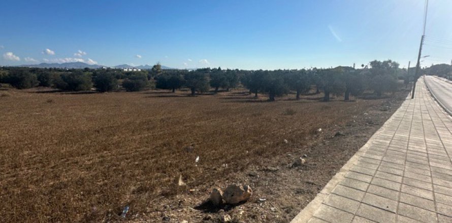 4598m2 Land in Kokkinotrimithia, Nicosia, No. 39902