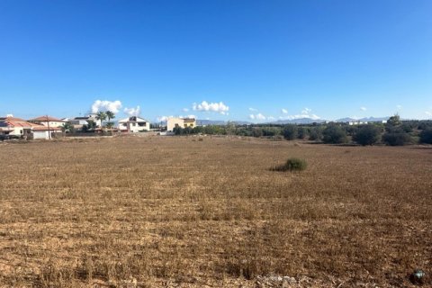 4598m2 Land in Kokkinotrimithia, Nicosia, No. 39902 3