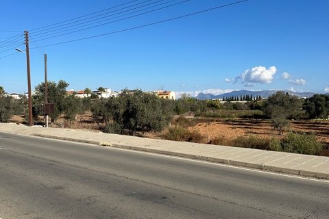 4598m2 Land in Kokkinotrimithia, Nicosia, No. 39902 6