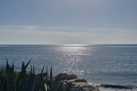 6890m2 Land in Softades, Larnaka,  No. 51458 7