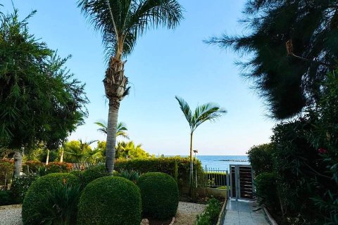 2 chambres Appartement à Limassol,  No. 49305 21