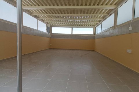 2 chambres Villa à Pegeia, Paphos,  No. 48799 5