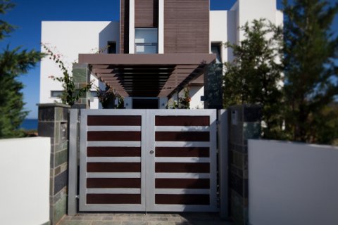 5 bedrooms Villa in Sea Caves, Pegeia, Paphos, Cyprus No. 25826