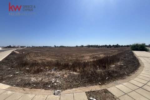 15457m2 Land in Avgorou, Ammochostos,  No. 40244 4