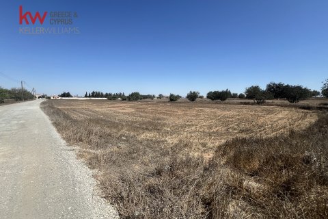 15457m2 Land in Avgorou, Ammochostos,  No. 40244 5