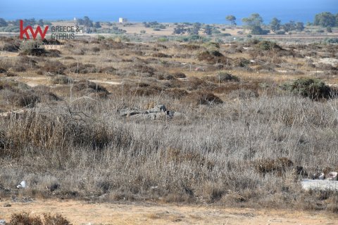 Земельный участок 7200м2 в Паралимни, Аммохостос,  № 40242 4