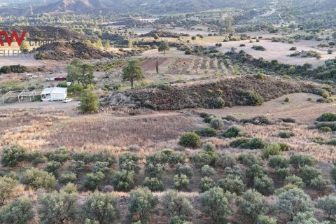 8696m2 Terrain à Pano Lefkara, Larnaka,  No. 56740 10