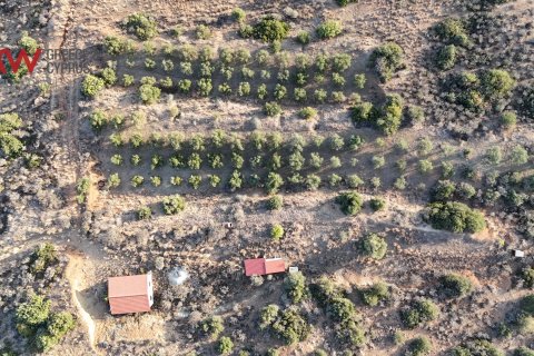 8696m2 Terrain à Pano Lefkara, Larnaka,  No. 56740 5