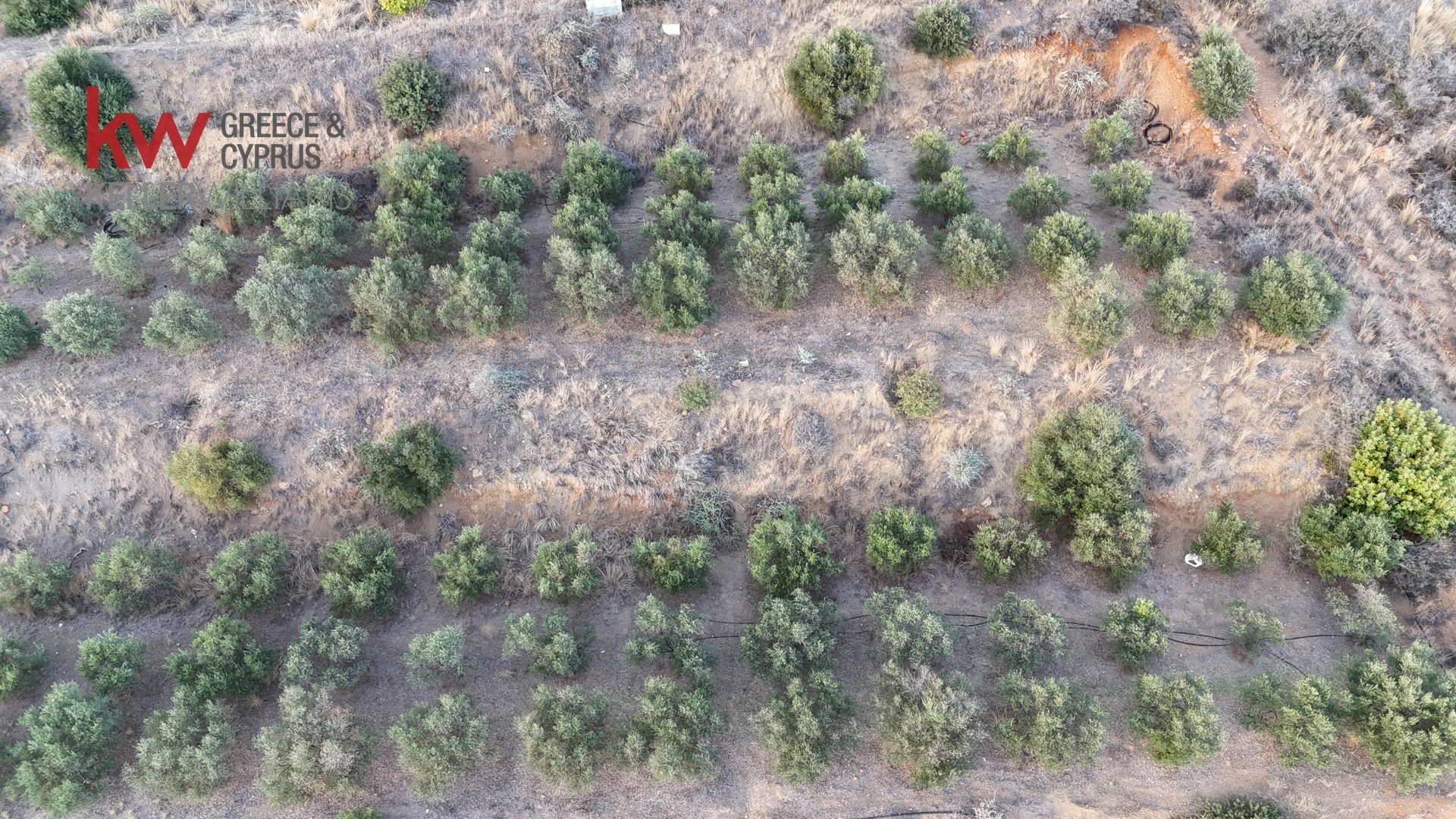 8696m2 Terreno en Pano Lefkara, Larnaka, Chipre No. 56740