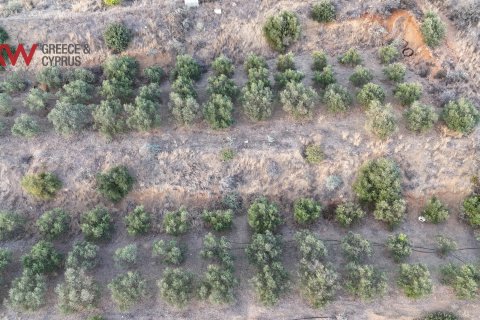 8696m2 Terrain à Pano Lefkara, Larnaka,  No. 56740 7