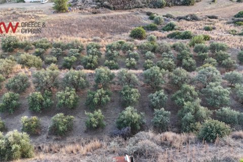 8696m2 Terrain à Pano Lefkara, Larnaka,  No. 56740 9
