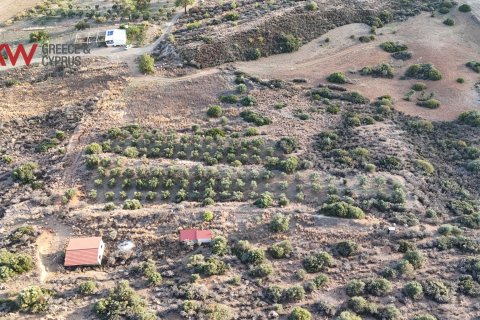 8696m2 Terrain à Pano Lefkara, Larnaka,  No. 56740 6