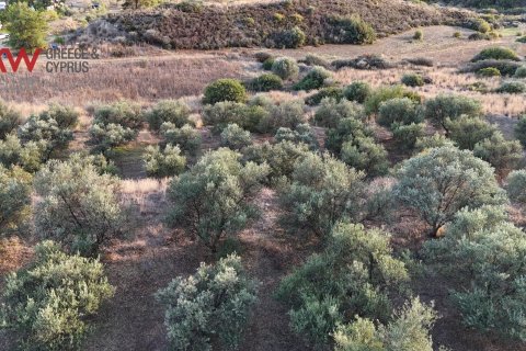8696m2 Terrain à Pano Lefkara, Larnaka,  No. 56740 8