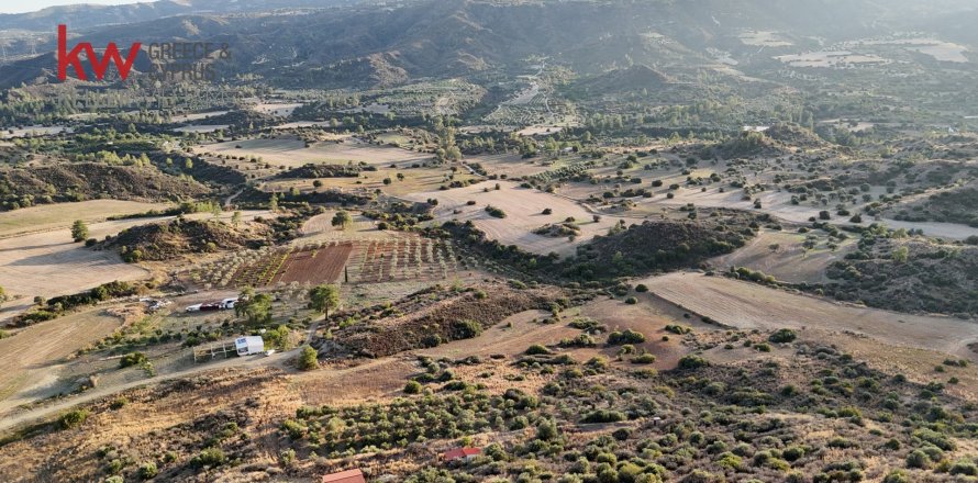 8696m2 Terrain à Pano Lefkara, Larnaka,  No. 56740