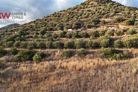 8696m2 Terrain à Pano Lefkara, Larnaka,  No. 56740 4