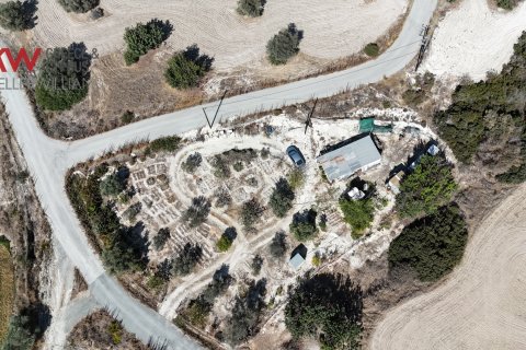 1890m2 Land in Choirokoitia, Larnaka,  No. 56744 4
