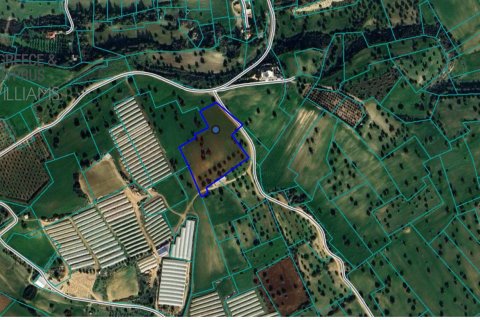 13379m2 Land in Mazotos, Larnaka,  No. 40030