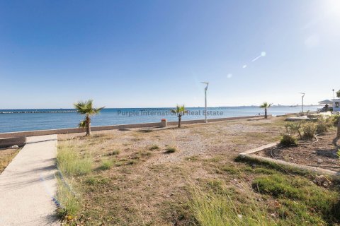 3 bedrooms Villa in Larnaka, No. 36720 29