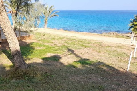 Земельный участок 4591м2 в Протарас, Аммохостос,  № 46204 2