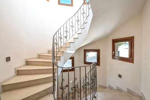 4 chambres Villa à Limassol,  No. 48550 16