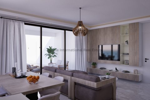 2 bedrooms Apartment in Deryneia, Ammochostos,  No. 39462 3