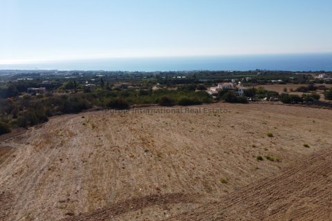 4 bedrooms Villa in Tala, Paphos, No. 39464 4