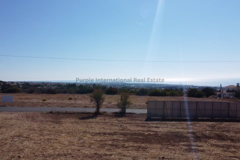 4 bedrooms Villa in Tala, Paphos, No. 39464 2