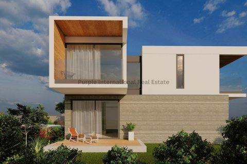 4 bedrooms Villa in Tala, Paphos, No. 39464 6